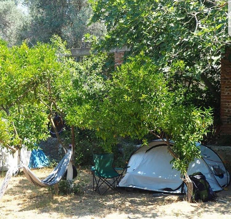 Bodrum Masali Camping Gümüşlük Kültér fotó