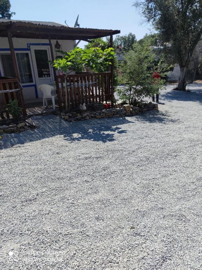 Bodrum Masali Camping Gümüşlük Kültér fotó