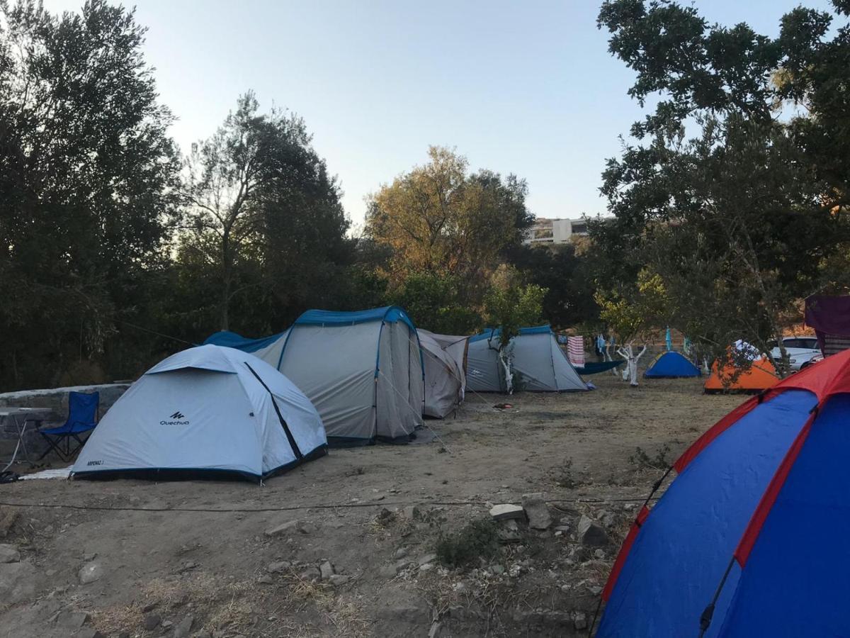 Bodrum Masali Camping Gümüşlük Kültér fotó