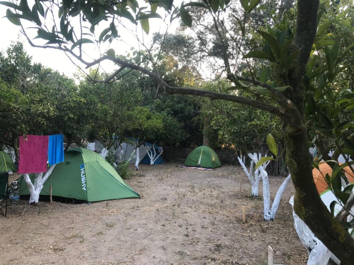 Bodrum Masali Camping Gümüşlük Kültér fotó