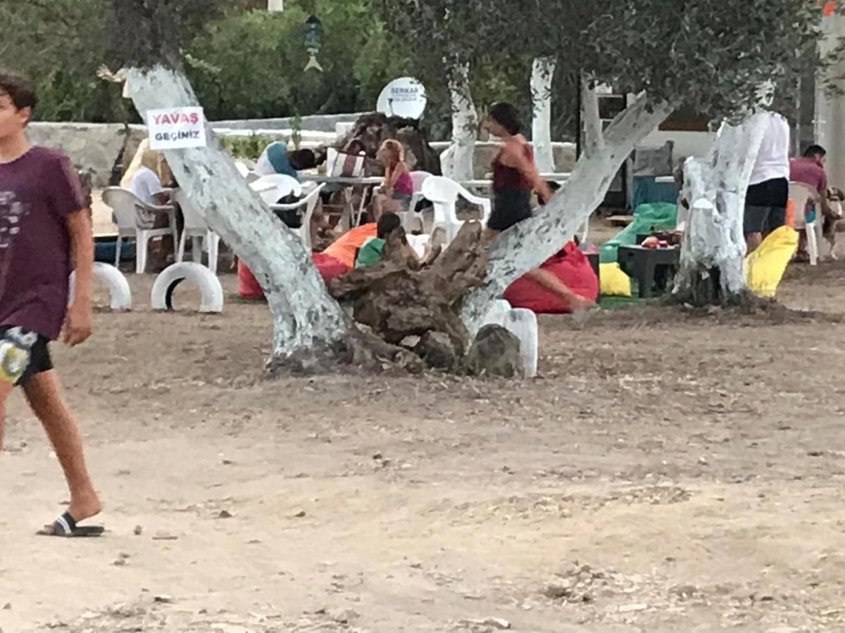 Bodrum Masali Camping Gümüşlük Kültér fotó